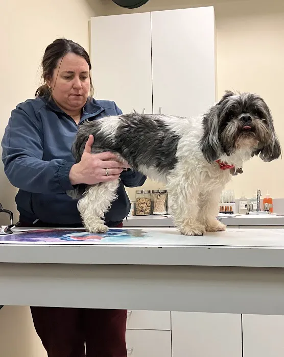 NON-EMERGENCY Beverly Hills Animal Hospital 12