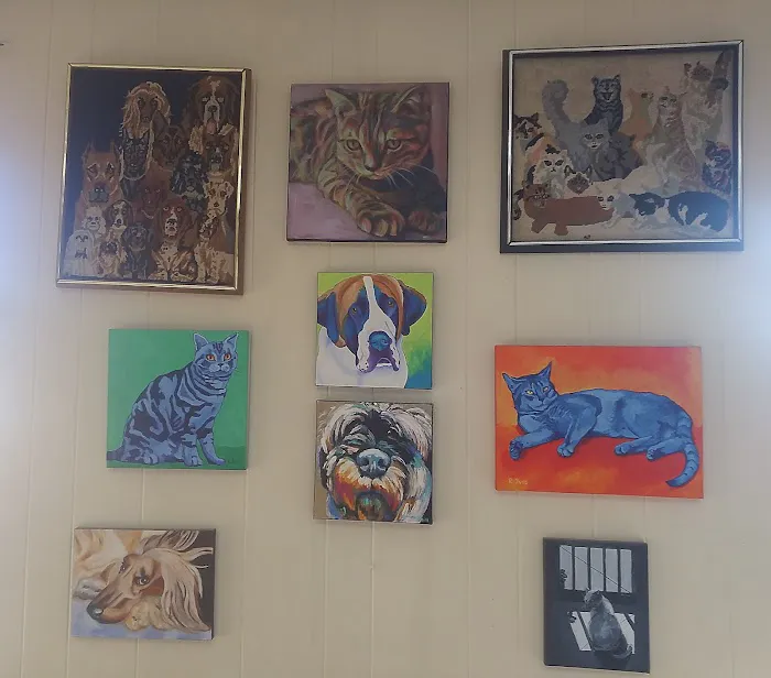 Oak Lawn Animal Hospital 2