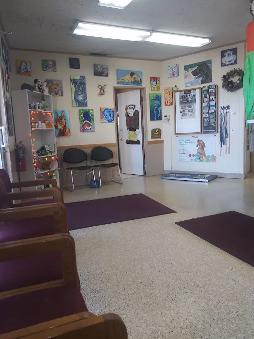 Oak Lawn Animal Hospital 7