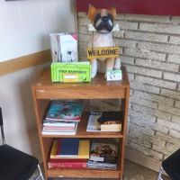 Oak Lawn Animal Hospital ico