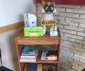 Oak Lawn Animal Hospital