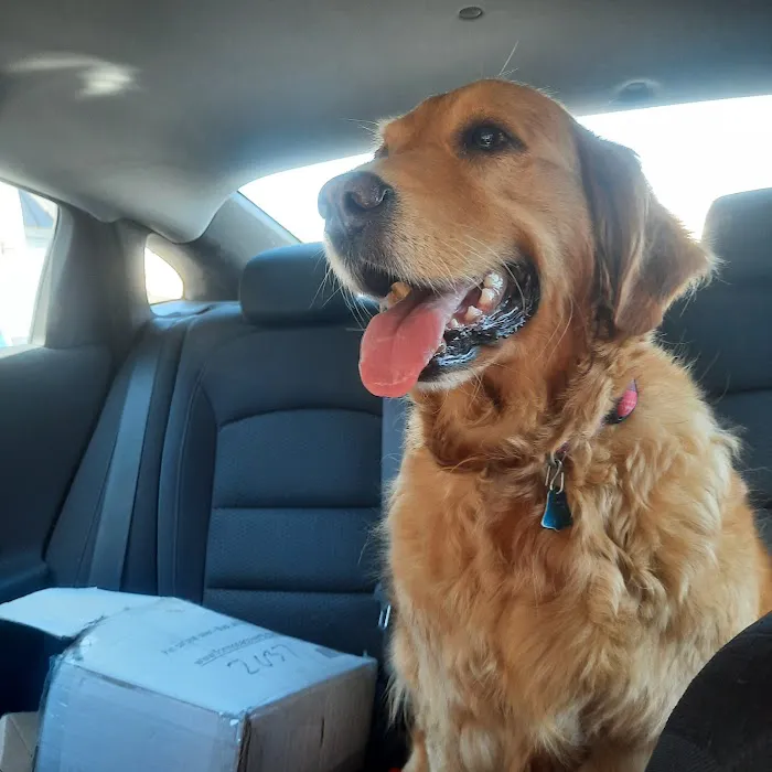 Oak Lawn Animal Hospital 8