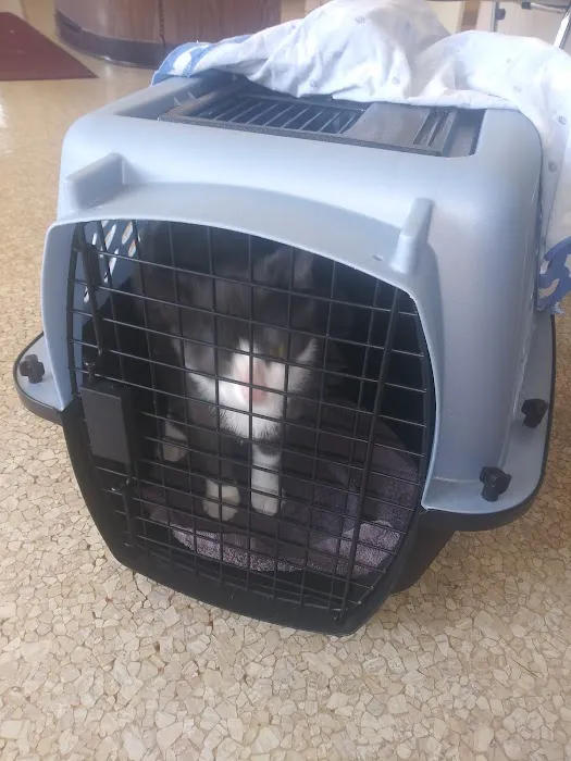 Oak Lawn Animal Hospital 9