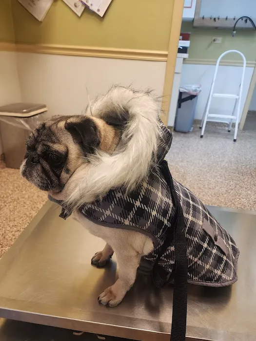 Hilltop Animal Hospital 12