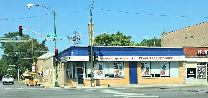 Auburn Animal Hospital 12