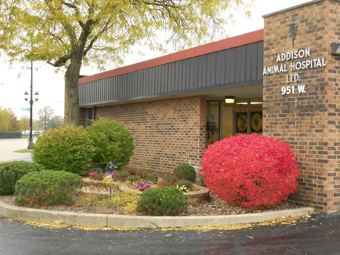 Addison Animal Hospital LTD 12