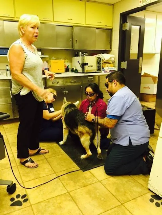 Addison Animal Hospital LTD 12