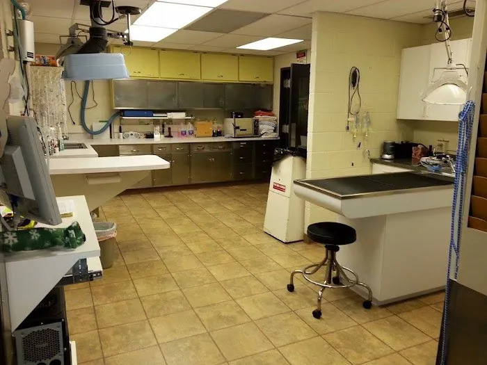 Addison Animal Hospital LTD 12