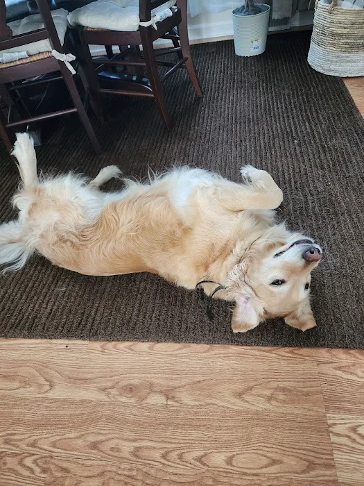 Dr.Sekowski,DVM Lombard veterinarian 12