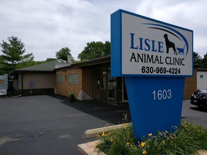 Friendly Vet Animal Hospital 12
