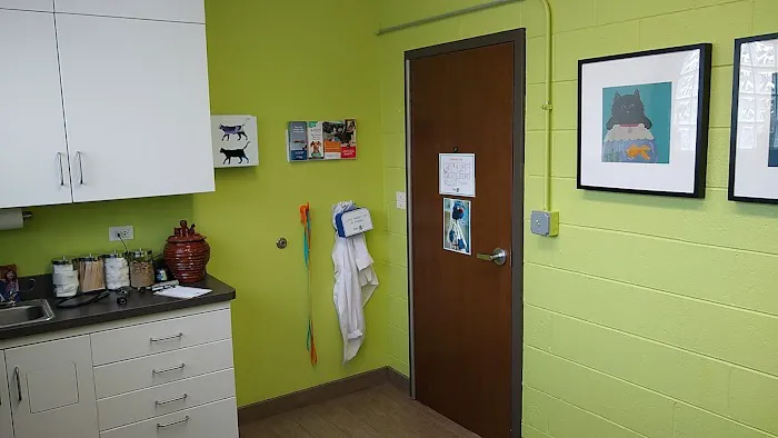 Friendly Vet Animal Hospital 12