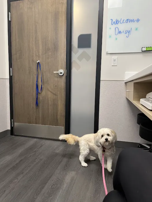 VCA Animal Hospitals Urgent Care - Wheaton 2