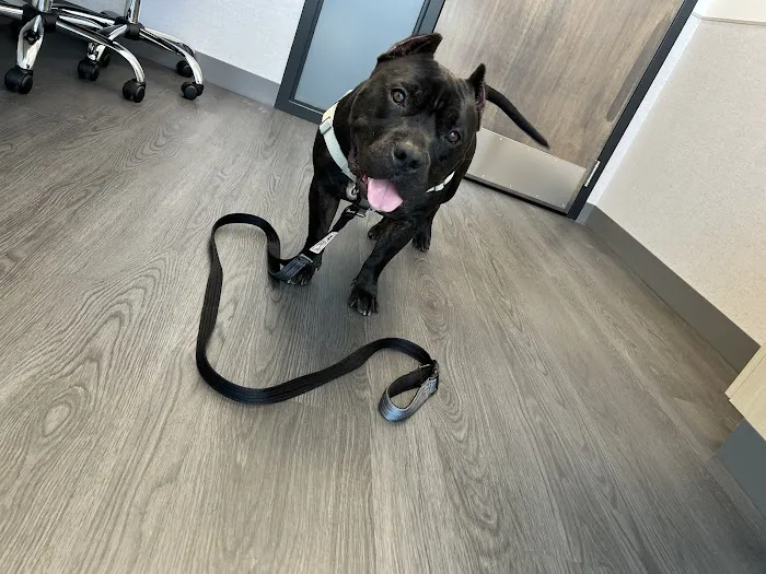 VCA Animal Hospitals Urgent Care - Wheaton 3
