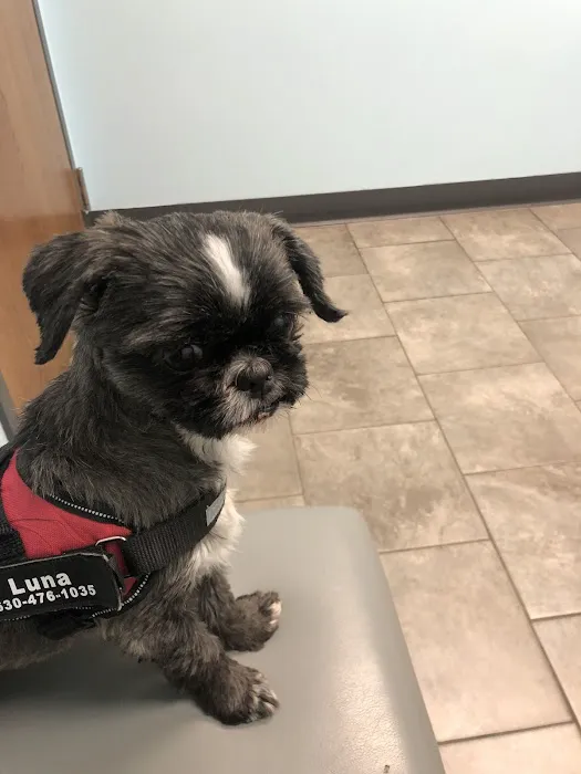 Animal Medical Clinic of Wheaton 1