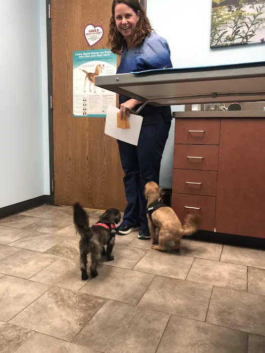 Animal Medical Clinic of Wheaton 8
