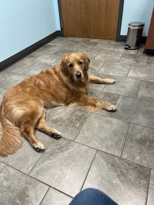 Animal Medical Clinic of Wheaton 7