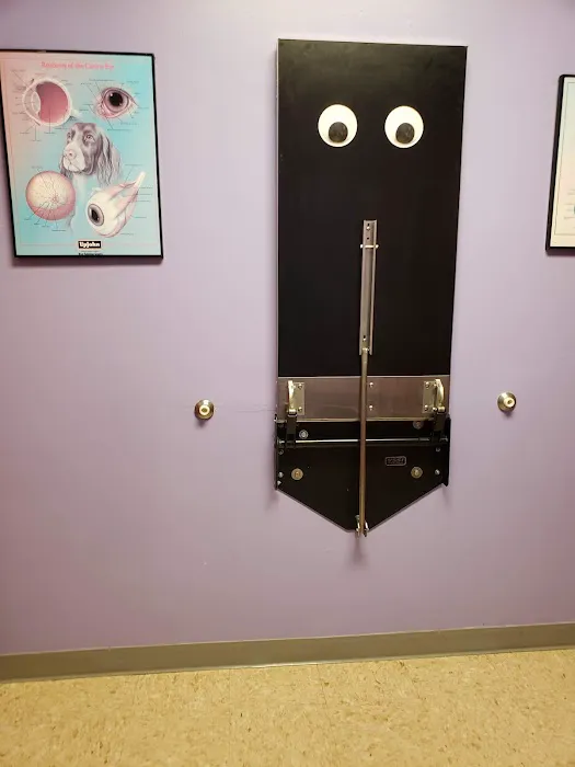 Veterinary Vision 12