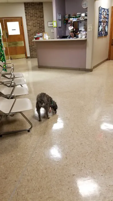 Veterinary Vision 12