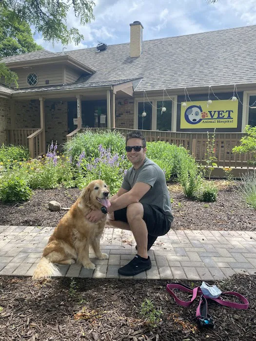 C-VET Animal Hospital 12