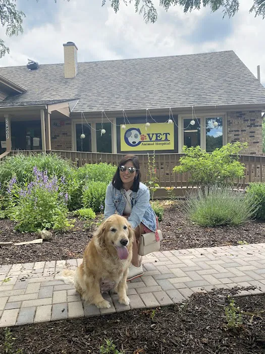 C-VET Animal Hospital 12