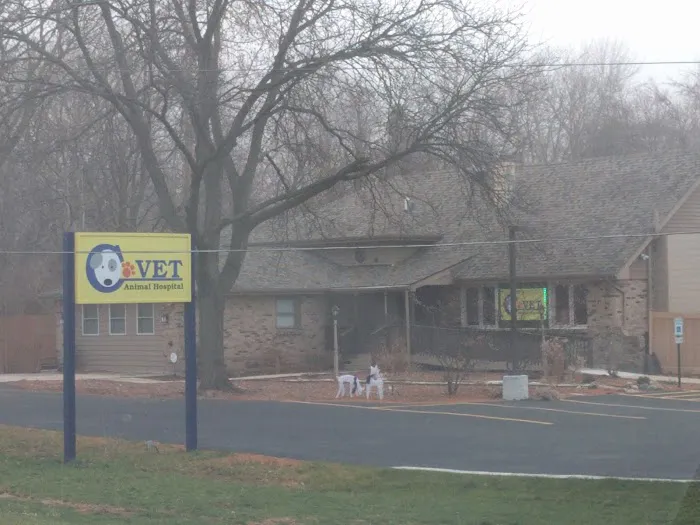 C-VET Animal Hospital 12