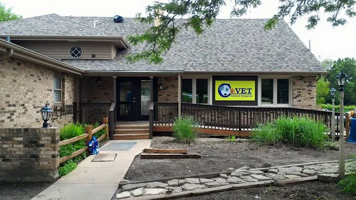 C-VET Animal Hospital 12