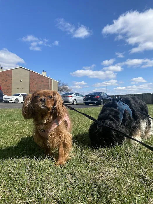 Wheaton Animal Hospital 10