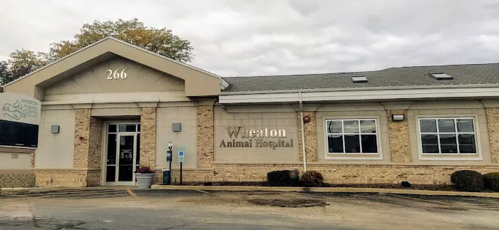 Wheaton Animal Hospital 9