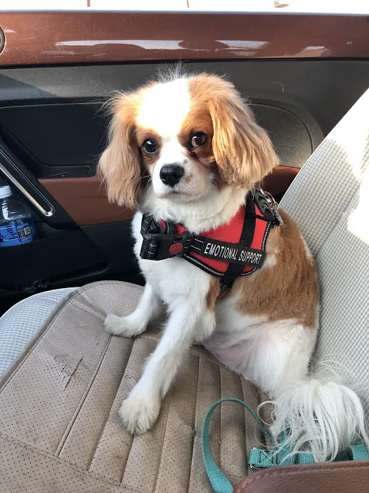 Wheaton Animal Hospital 5
