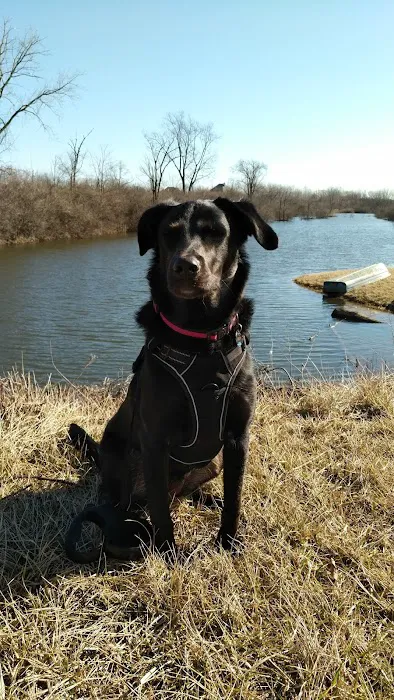 Naperville Animal Hospital 12