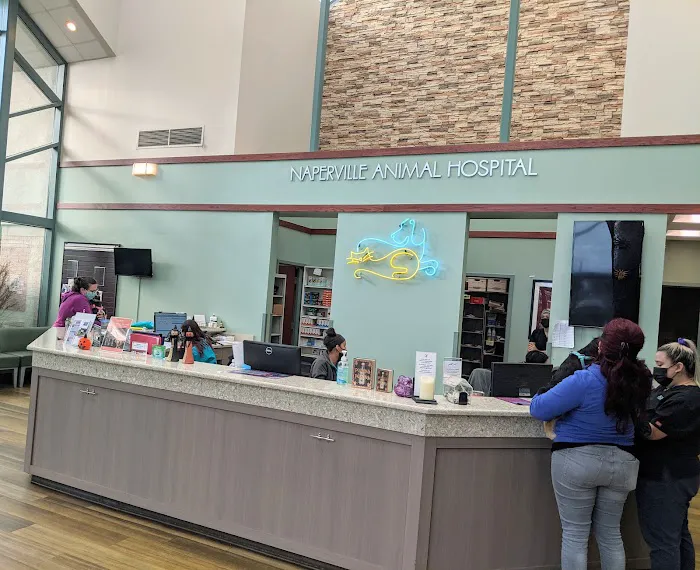Naperville Animal Hospital 12