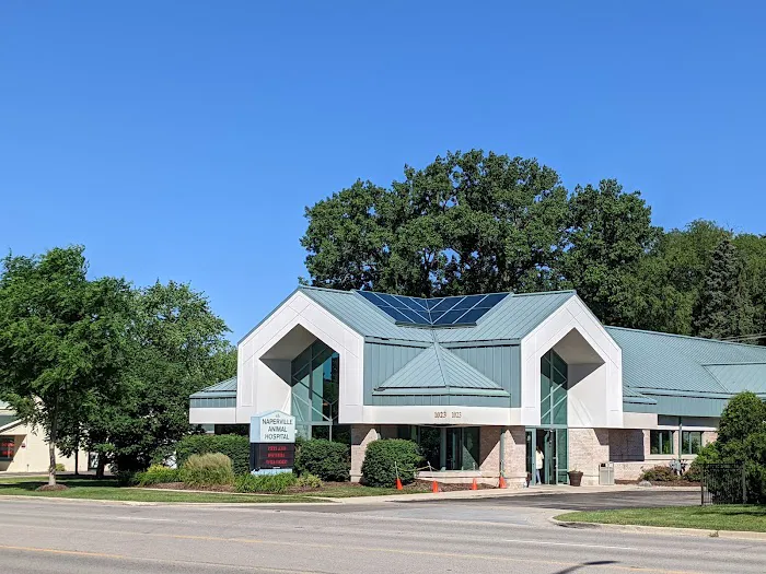 Naperville Animal Hospital 12