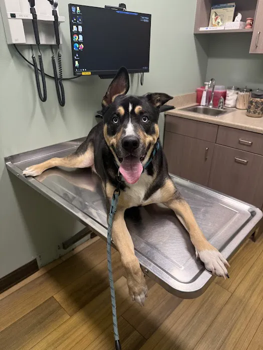 Naperville Animal Hospital 12