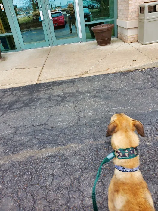 Naperville Animal Hospital 12