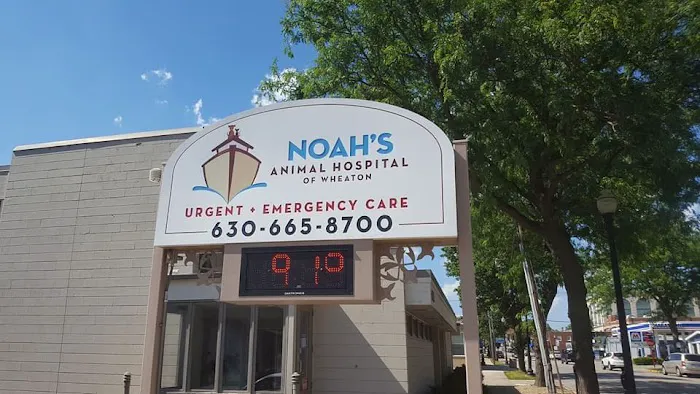 Noah's Animal Hospital at Wheaton 2
