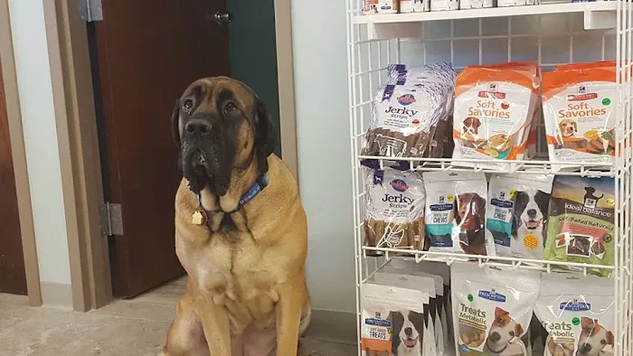 Noah's Animal Hospital at Wheaton 3