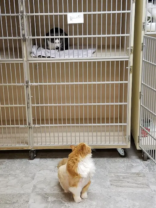 Noah's Animal Hospital at Wheaton 5
