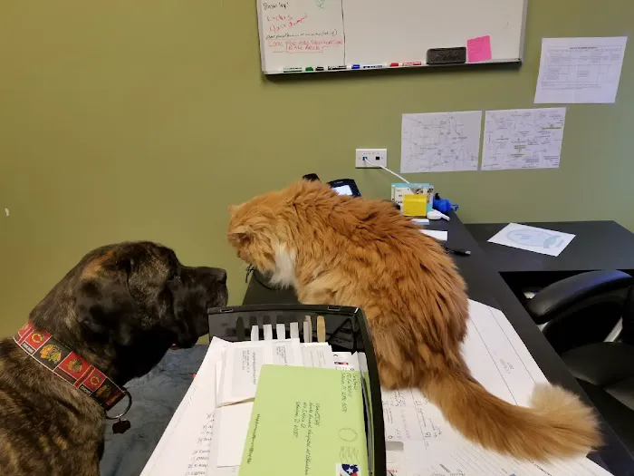 Noah's Animal Hospital at Wheaton 7