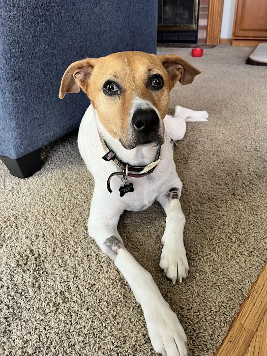 Noah's Animal Hospital at Wheaton 9