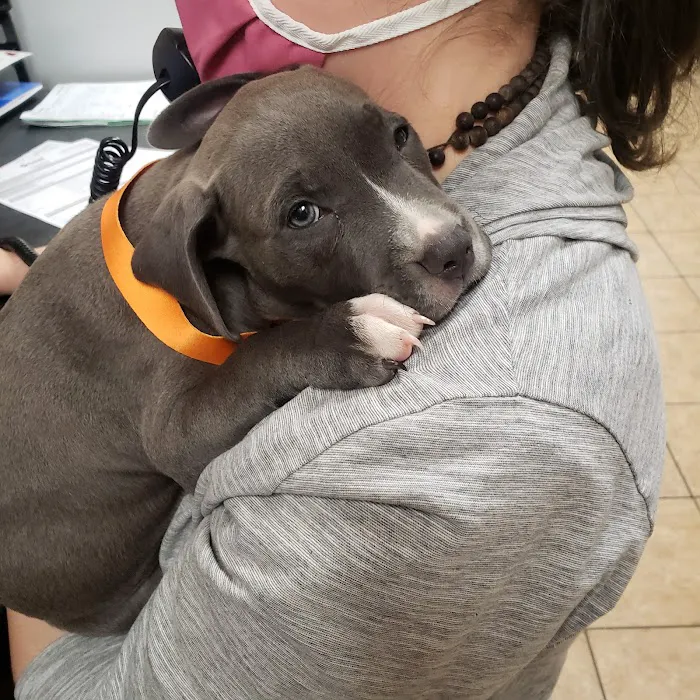 Banfield Pet Hospital 7