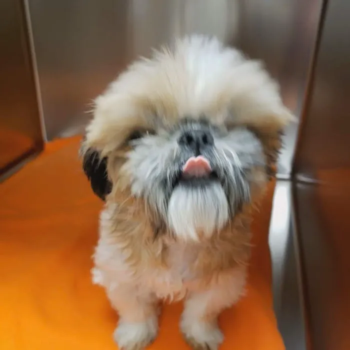 Banfield Pet Hospital 3