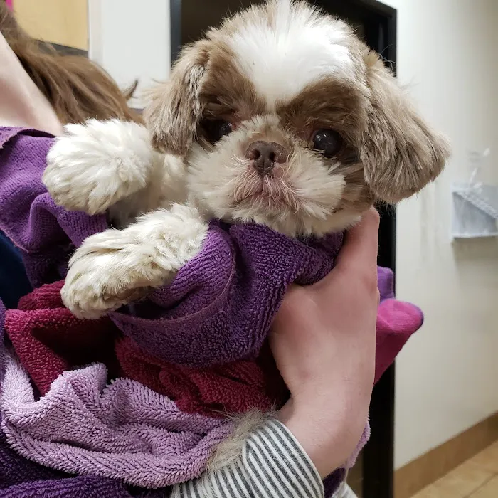 Banfield Pet Hospital 6