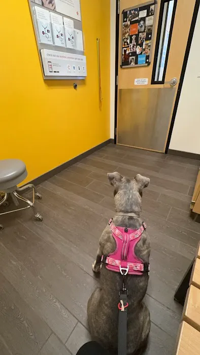 Banfield Pet Hospital 4