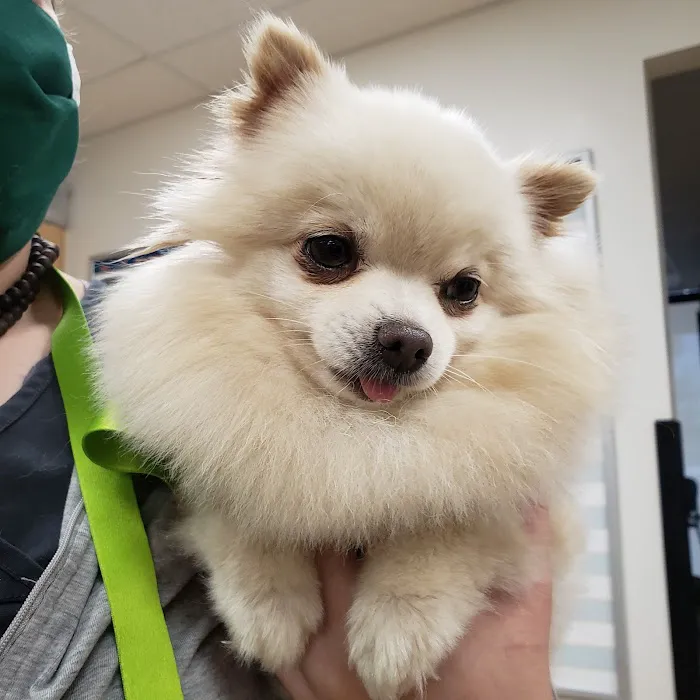 Banfield Pet Hospital 5