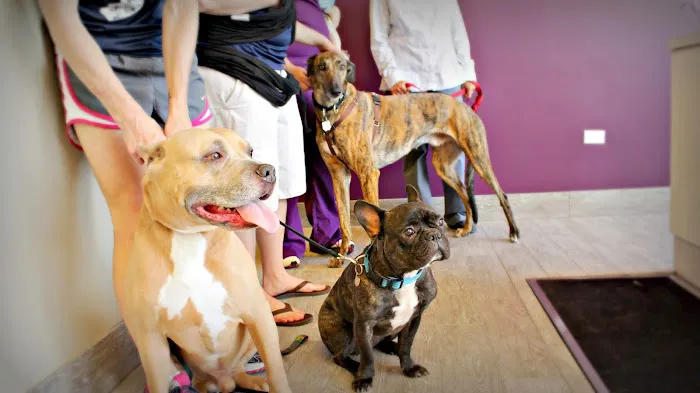 Finan Animal Hospital 6