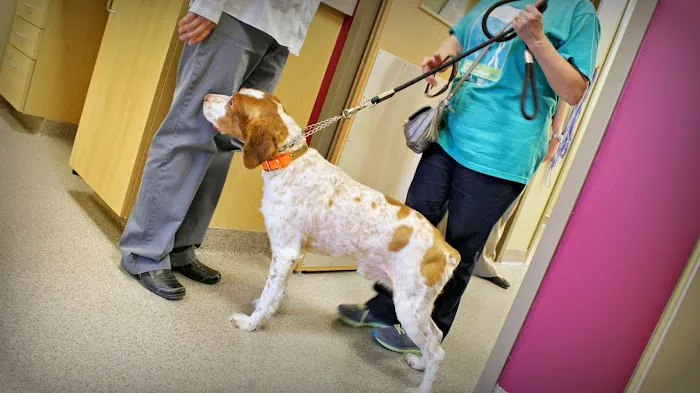 Finan Animal Hospital 8