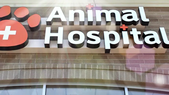 Finan Animal Hospital 7