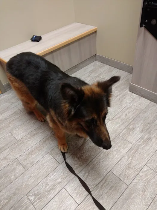 Finan Animal Hospital 10