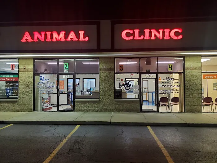 Care Animal Clinic 2