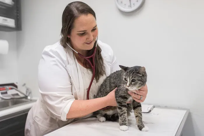 Knoll Animal Hospital 12